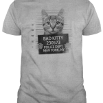 Cute Bad Kitty Cat